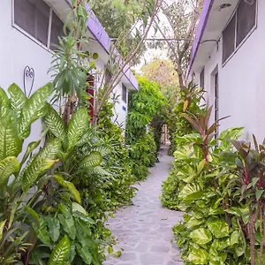 Aventura 2* Mérida